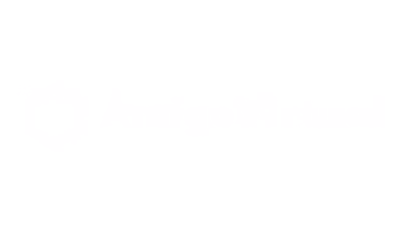 Amigo Virtual